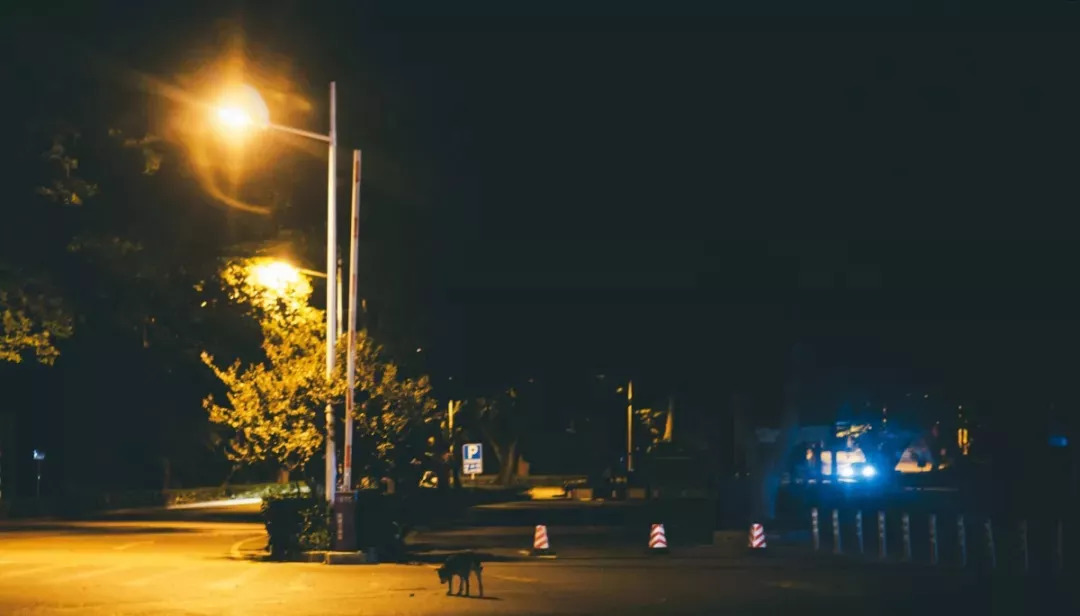 南京的夜晚真实图片,2005年的南京街头真实影像