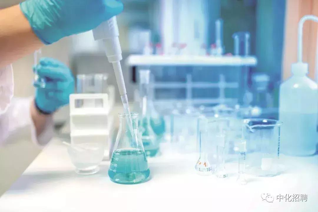 中化控股集团有限公司2024招聘,中国中化集团校园招聘1901人公告