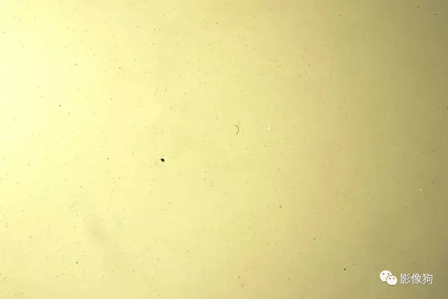 佳能尼康索尼哪个相机质量最好,佳能尼康索尼出图效果