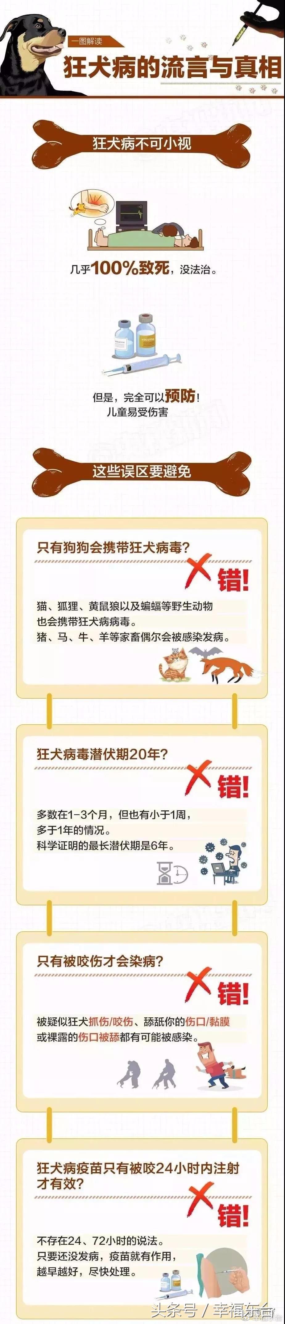 关于养犬致全体市民的一封公开信,通知给养犬居民的一封信请查收