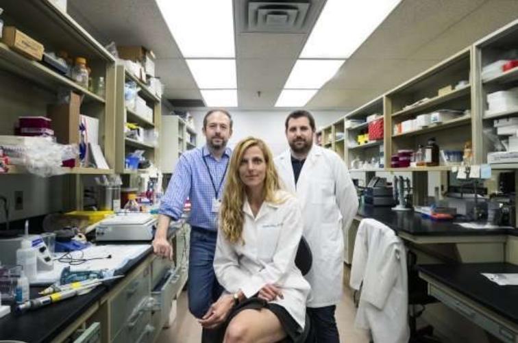 研究治疗多发性硬化最新消息,干细胞治疗多发性硬化最新研究