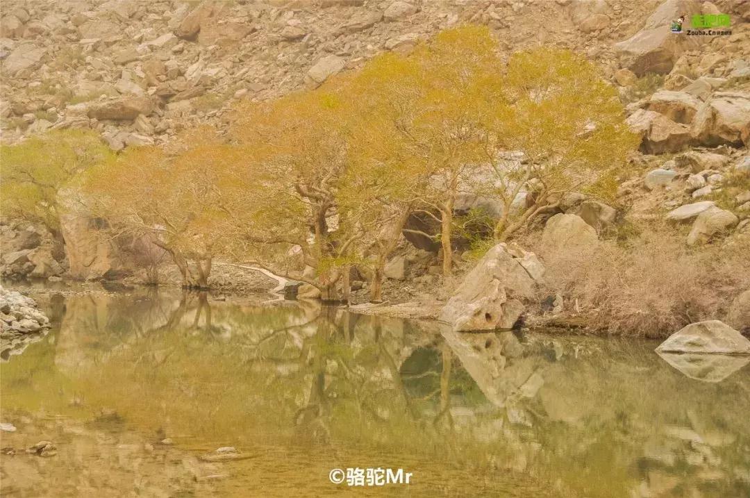 跟着玄奘西行,跟着唐僧去旅行观感和收获