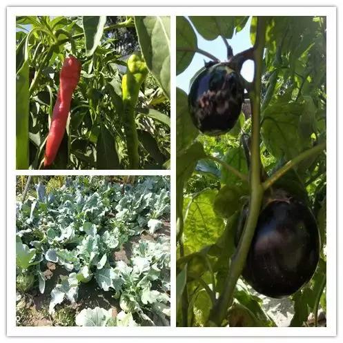 我们都要好好的努力工作享受生活,为了生活他们都在努力工作