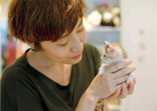 领养可以代替购物吗,领养与购买的方法