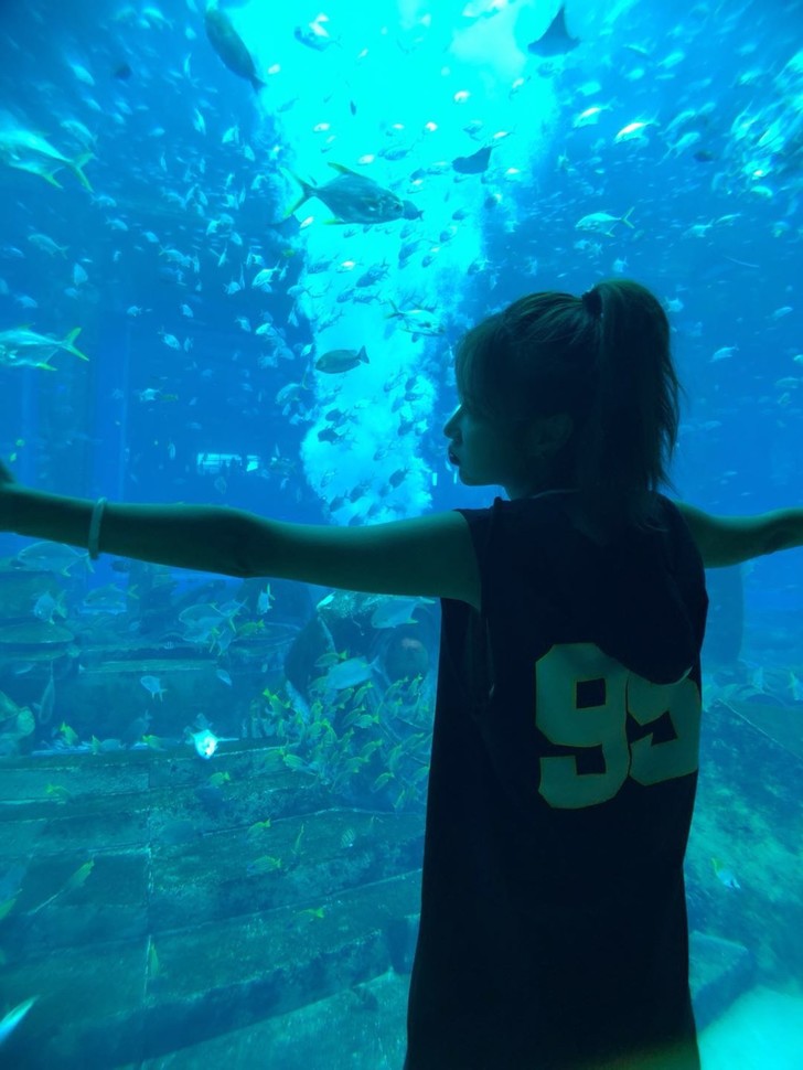 三亚亚特兰蒂斯酒店体验讲解,三亚亚特兰蒂斯酒店自由行攻略