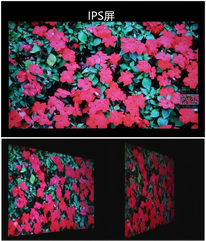 24寸显示器ips面板性价比,电竞显示器ips和pva面板哪个更好