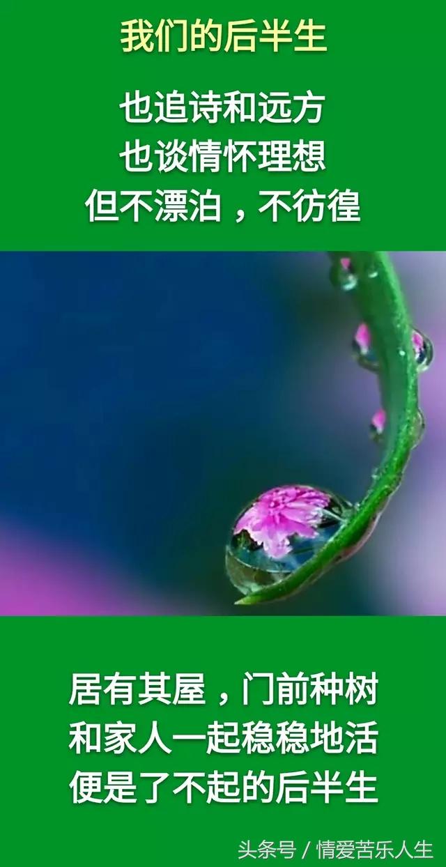 我们的后半生的美文,我们的后半生全集