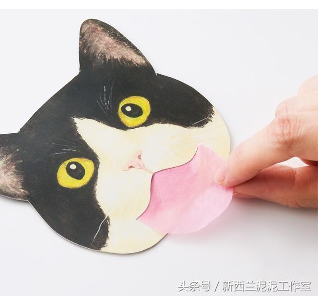 猫奴的护肤品,猫奴适合什么护肤品