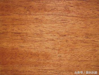 吉他新手选购推荐品牌价格,吉他新手必买书