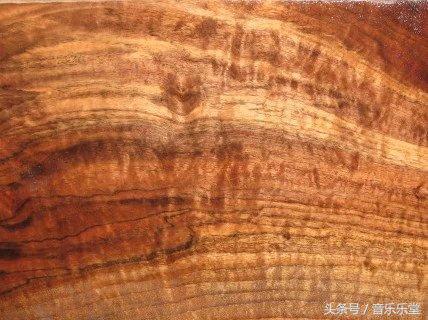 吉他新手选购推荐品牌价格,吉他新手必买书