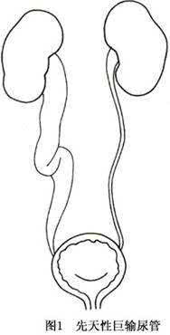 宝宝健康学堂全集,健康学堂儿童发育