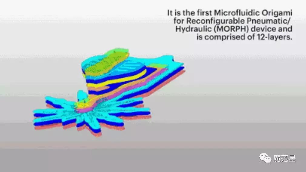 这是一只能进入你身体的“小蜘蛛”，要上演惊悚大片？！