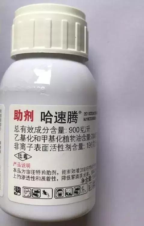 凉风至白露降寒蝉鸣下一句,夏天多肉小白虫消灭方法