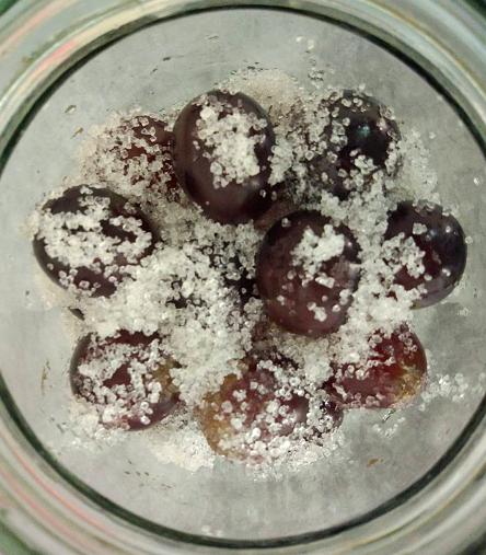 葡萄酒的正确做法教学,葡萄酒做法大叔自酿全过程