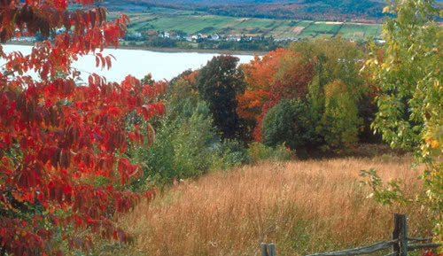 秋天景色的作文三年级300字大全,关于秋天的一篇优美作文