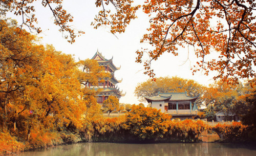 秋天景色的作文三年级300字大全,关于秋天的一篇优美作文