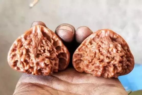 文玩核桃先挂瓷还是先包浆,文玩核桃纯刷能包浆玉化吗