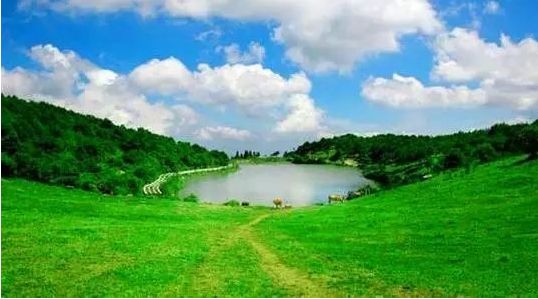 重磅！福清上榜全省经济实力十强！