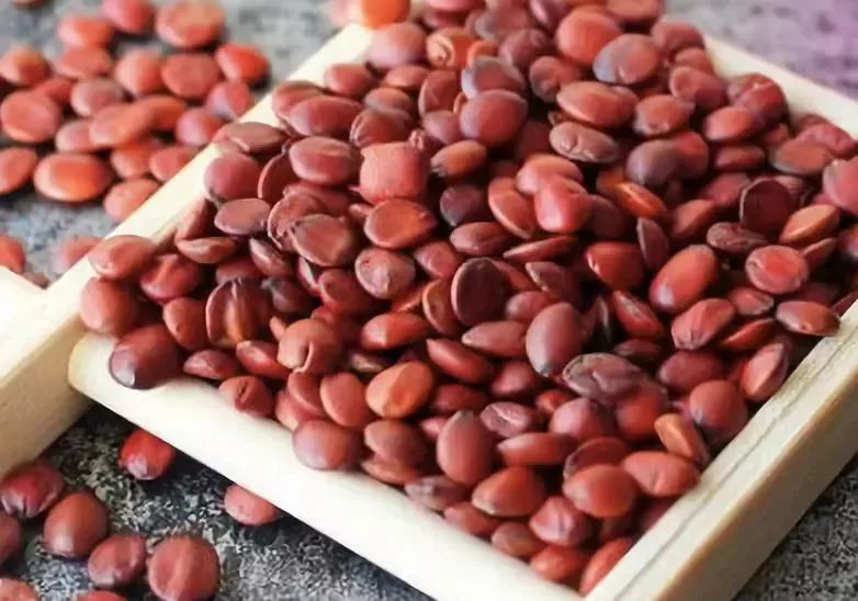 酸枣仁和酸枣仁膏哪个效果好,复方酸枣仁膏能治深度失眠吗