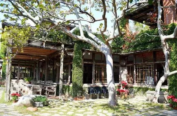 不只美美美，最适合设计师们的台湾7日深度游！