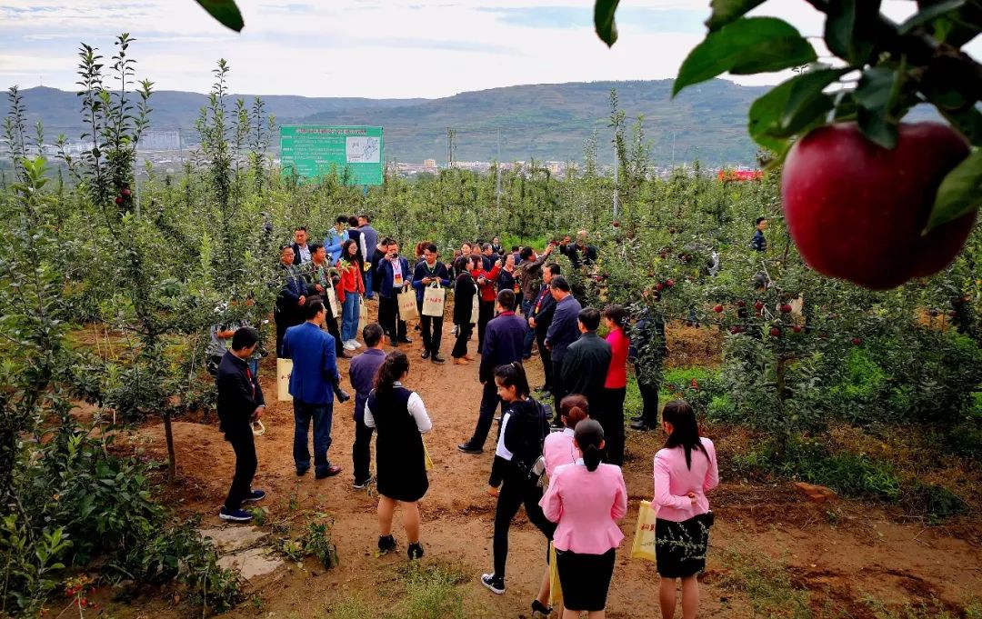 中国首届农民丰收节陕西分会场,陇南中国农民丰收节热点