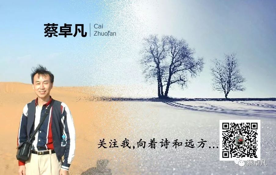 崇仁麻鸡消毒视频,江西崇仁麻鸡节