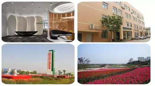 广东佰鸿再生医学有限公司,项目巡礼