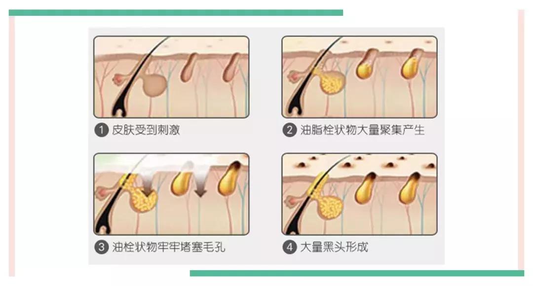 鸡冻僵复活,鸡冻了能救活吗