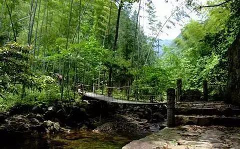 新课标下的小学作文教学,新教材新理念新教学