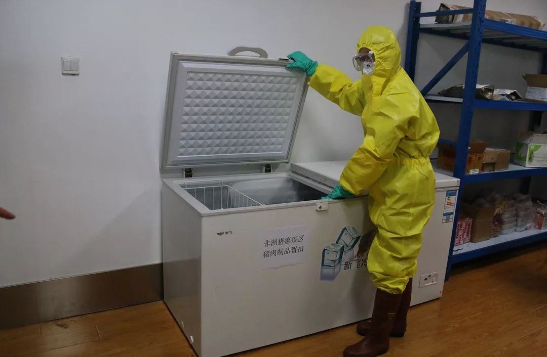 非洲猪瘟丨这个省境内连报8起……海关采取这样一些最严格的口岸防控措施