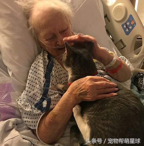 澶辨槑鐨勫皬鐚娌诲ソ,澶辨槑鐨勫皬鐚娌荤枟