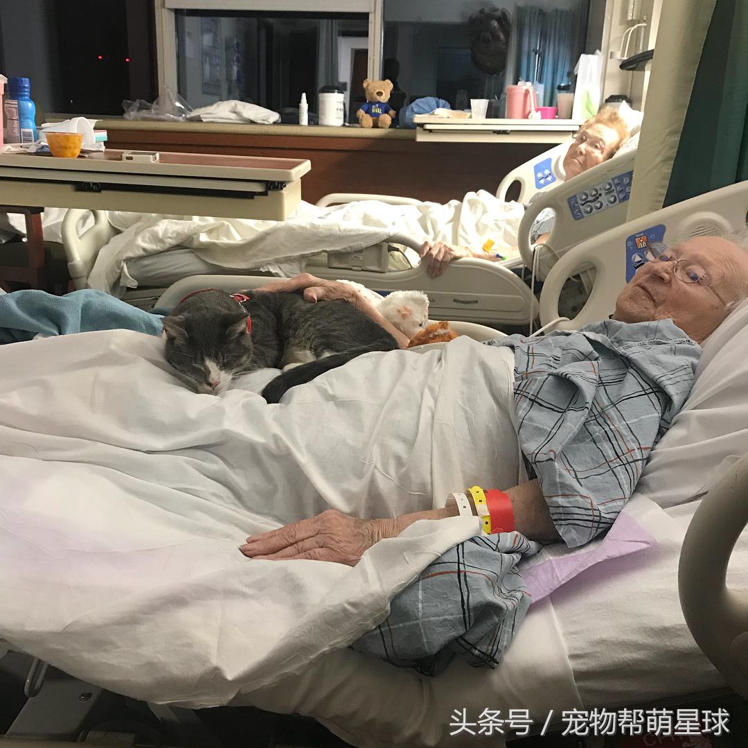 澶辨槑鐨勫皬鐚娌诲ソ,澶辨槑鐨勫皬鐚娌荤枟