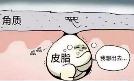 抿嘴出现的白色小颗粒,嘴下面起的密密麻麻大疙瘩是什么