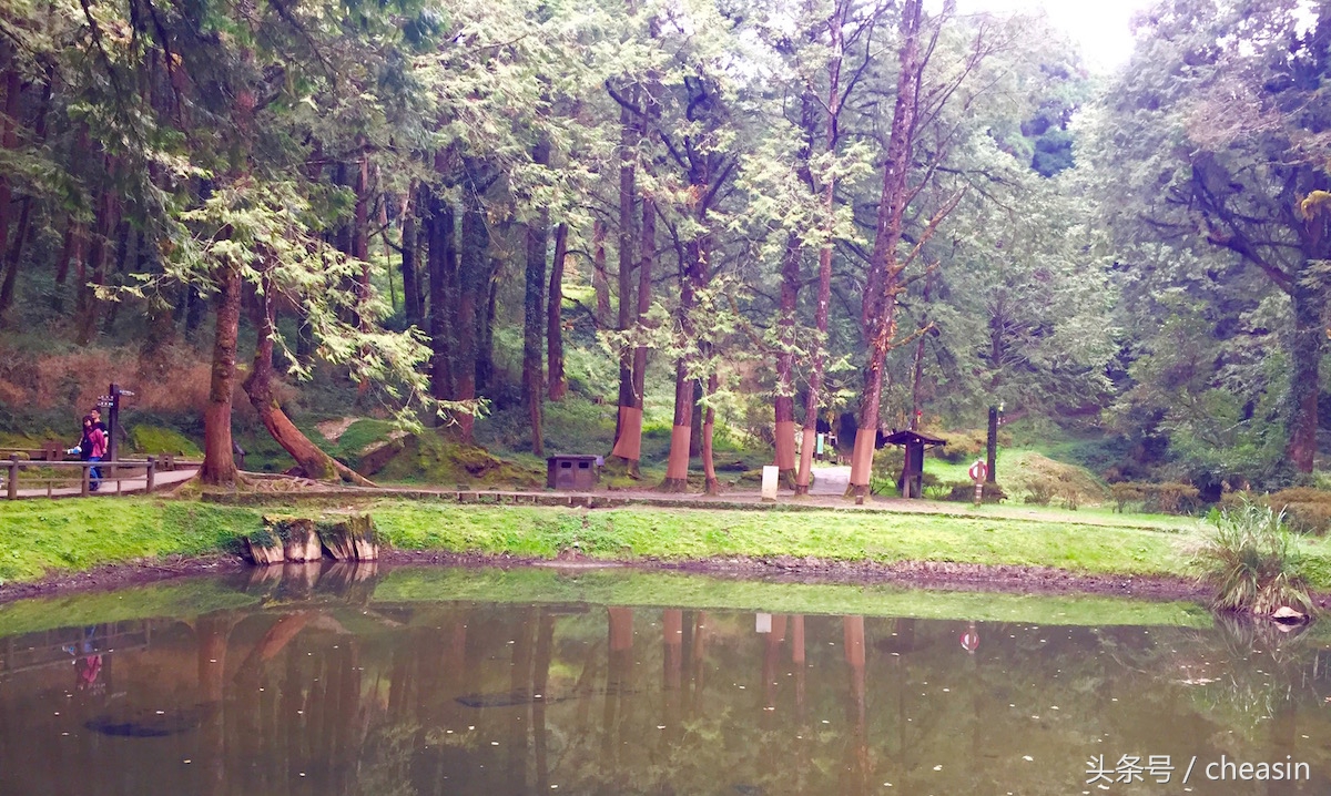 鍙版咕鐨勬捣鍩熷お骞虫磱,鍙版咕鐨勫お骞虫磱娴锋磱