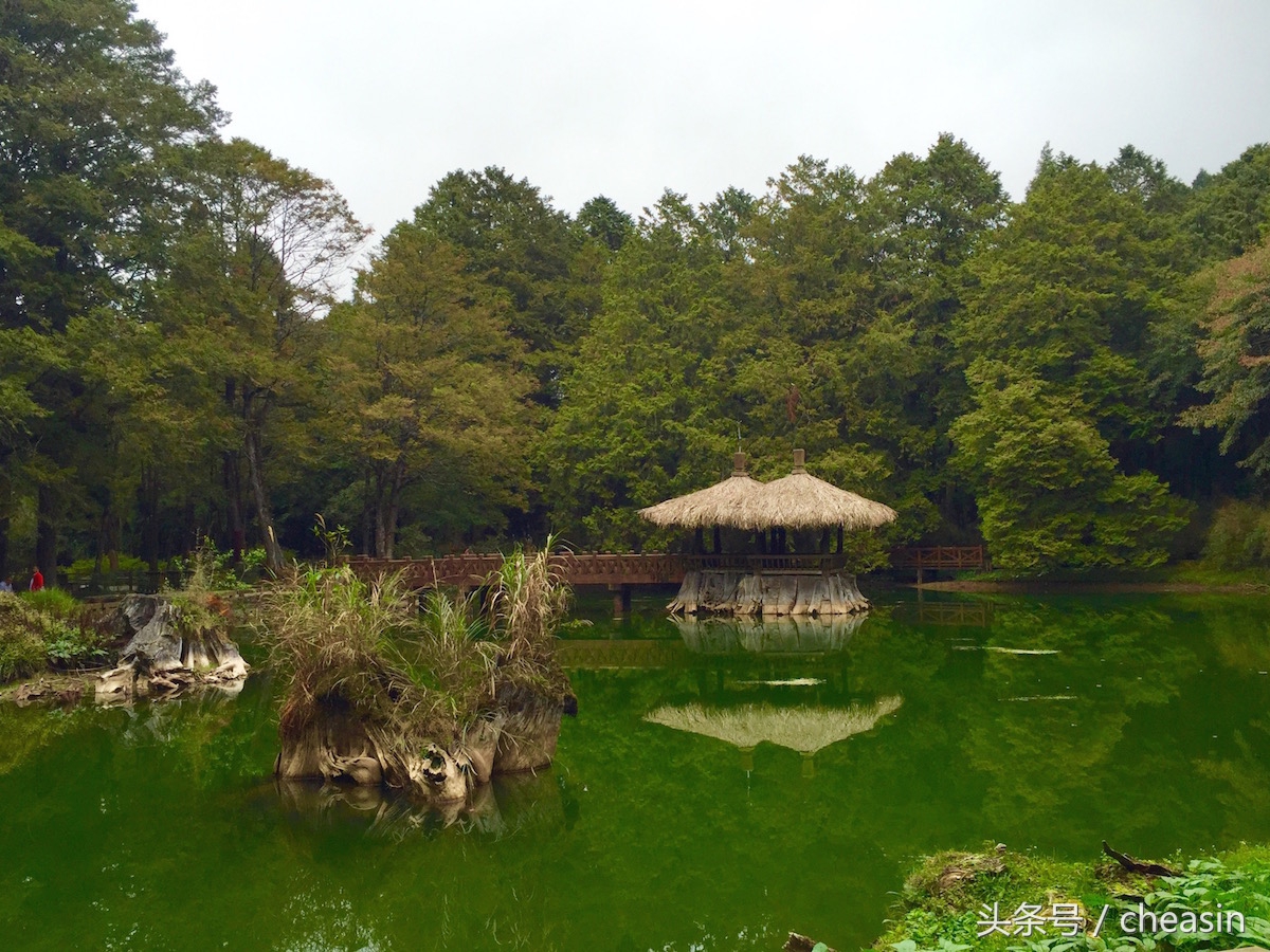 鍙版咕鐨勬捣鍩熷お骞虫磱,鍙版咕鐨勫お骞虫磱娴锋磱