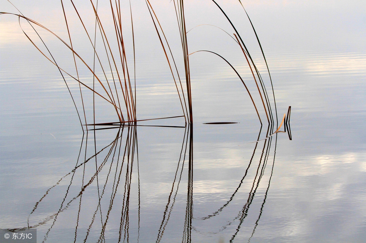 农村必备驱蚊神器有哪些,农村古老驱蚊神器