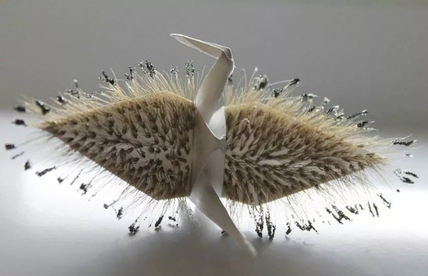 每天折一个千纸鹤,每天折一只纸鹤