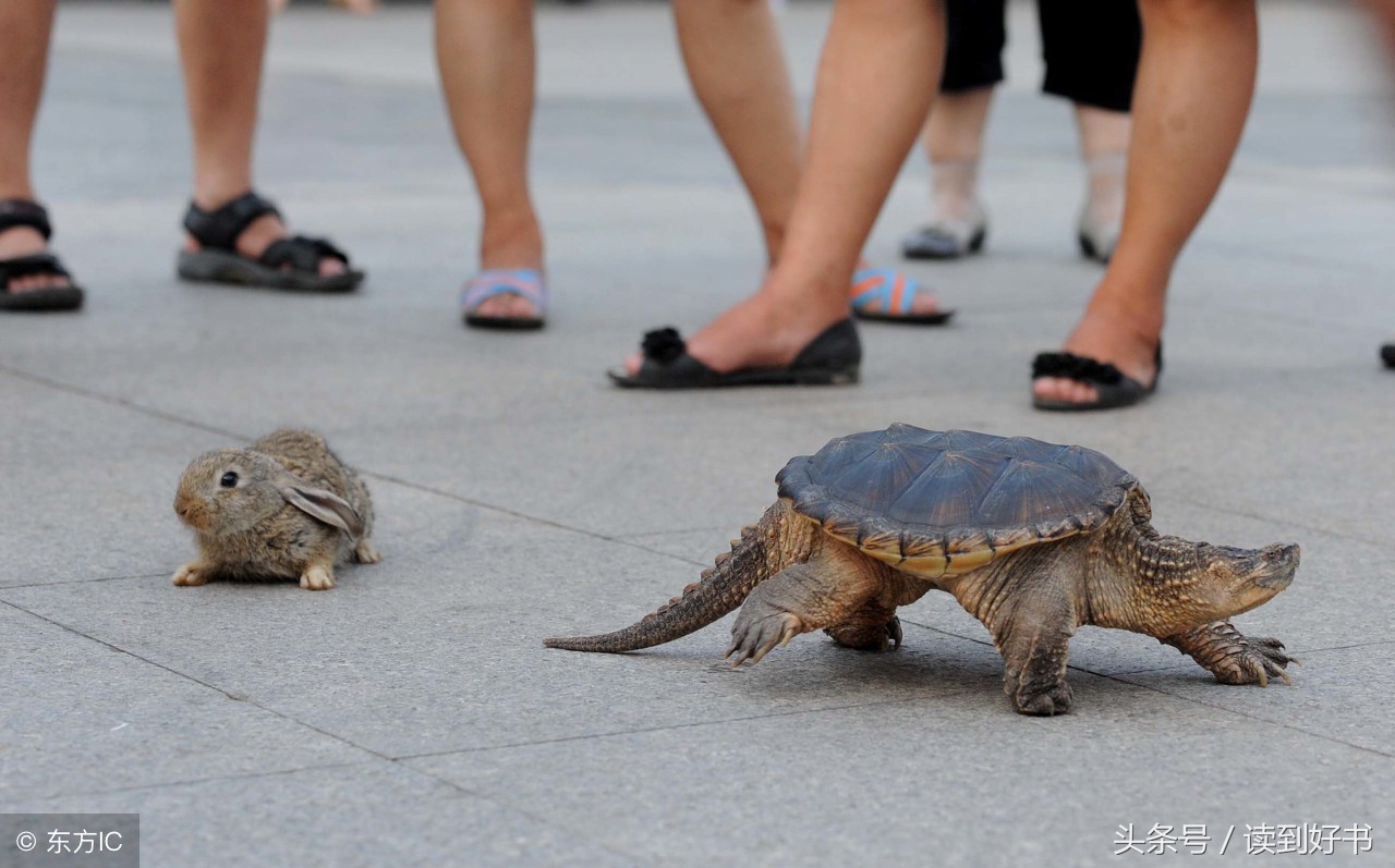 伊索寓言最经典十个寓言,伊索寓言是世界上古老的一部什么