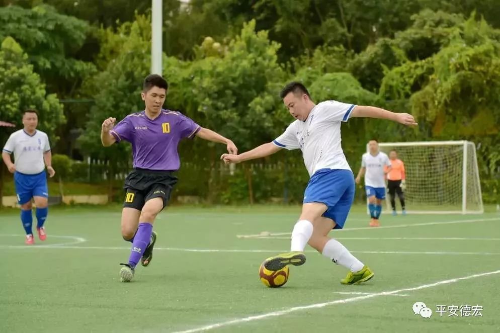 政法杯赛,政法系统书画展获奖作品