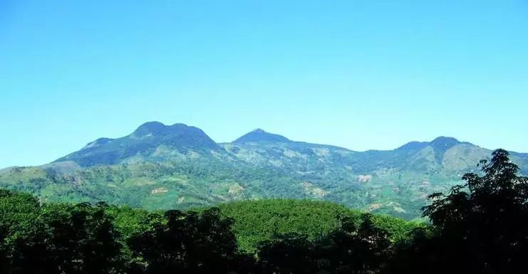 鏂扮枂娌欐咕娌嫢鎴忓墽灏忛晣,娌嫢鏁呴噷娌欐咕