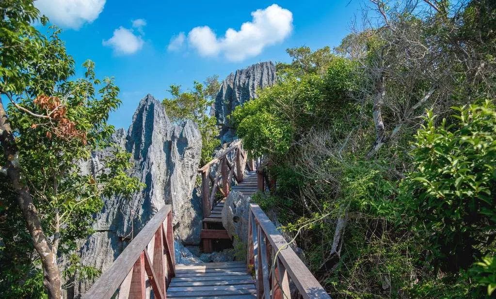 鏂扮枂娌欐咕娌嫢鎴忓墽灏忛晣,娌嫢鏁呴噷娌欐咕