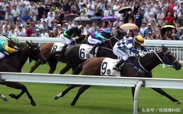 神操作假期,神操作一口气过12个绿灯