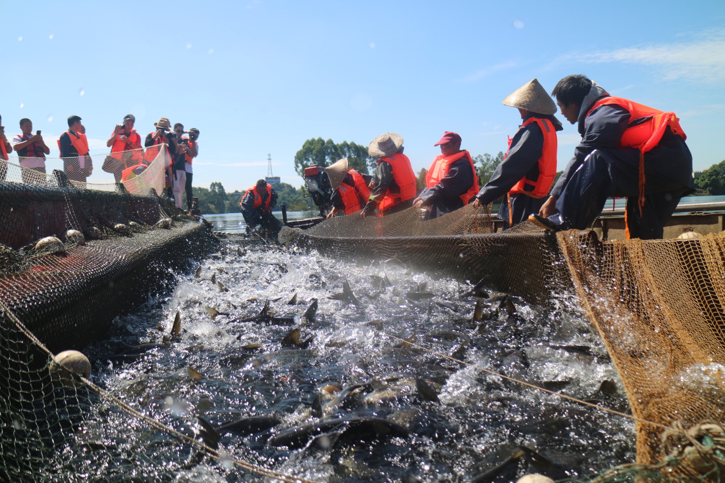 中秋国庆吃海鲜,国庆中秋吃鱼好地方
