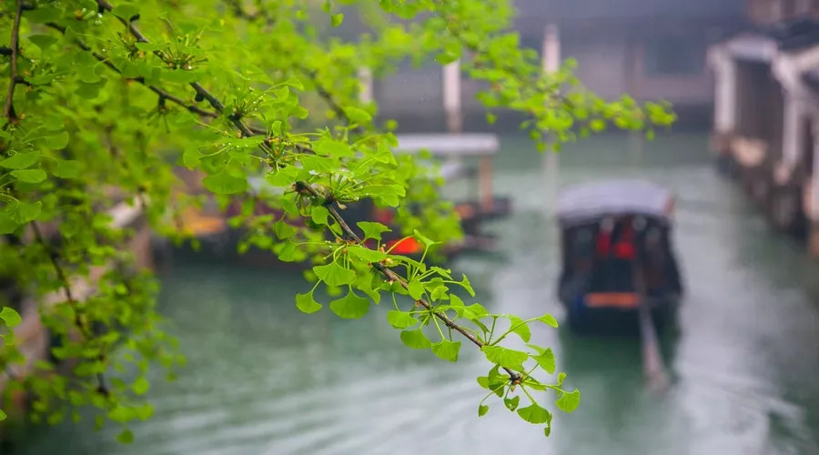 笔记温故知新,笔记克服拖延症