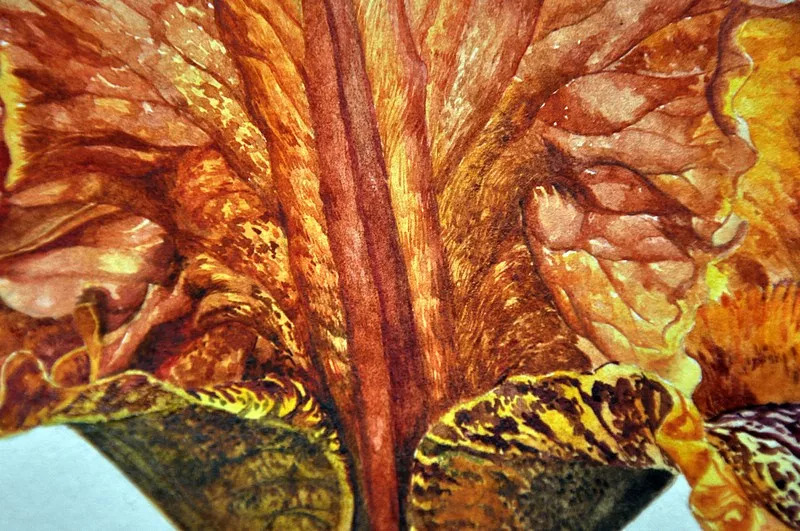 她画的超写实水彩花卉美到窒息,让人惊艳的水彩画