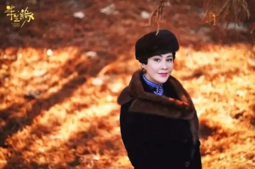 刘嘉玲最霸气视频,刘嘉玲最霸气的戏份