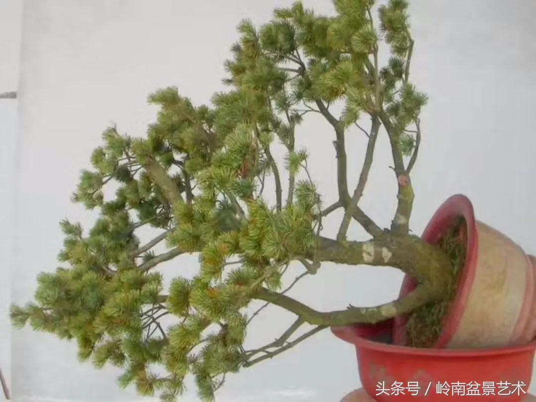 神来之笔绘画作品欣赏,神来之笔书法作品大全