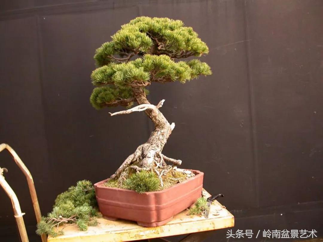 神来之笔绘画作品欣赏,神来之笔书法作品大全