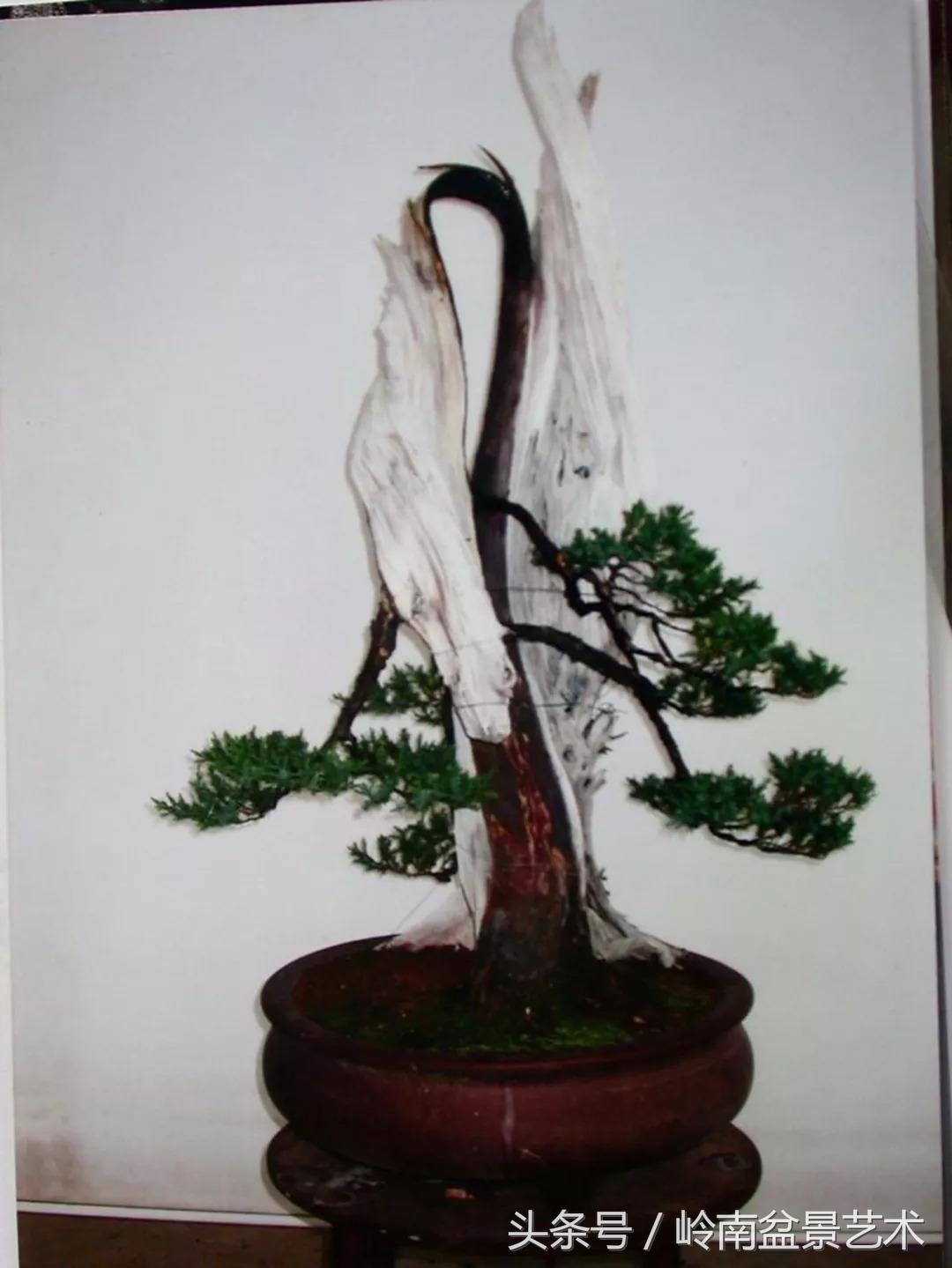 神来之笔绘画作品欣赏,神来之笔书法作品大全