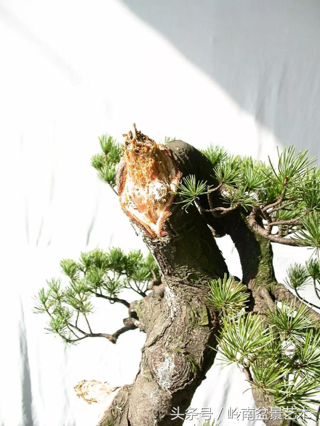 神来之笔绘画作品欣赏,神来之笔书法作品大全